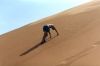Dunes de sable, désert du Sahara (Algérie)