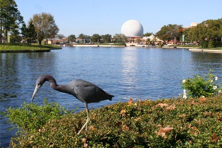 EPCOT