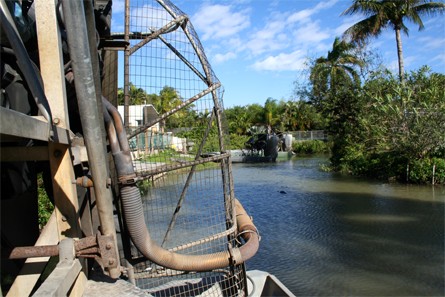 Airboat, Everglades