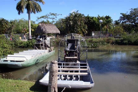 Everglades Alligator Farm