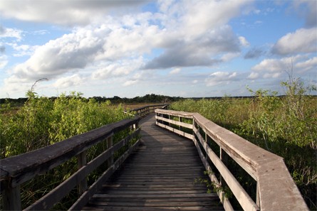 Parc national des Everglades, Floride