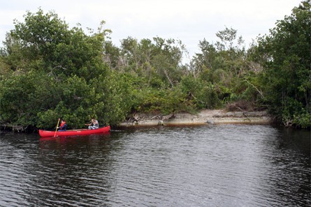Parc national des Everglades