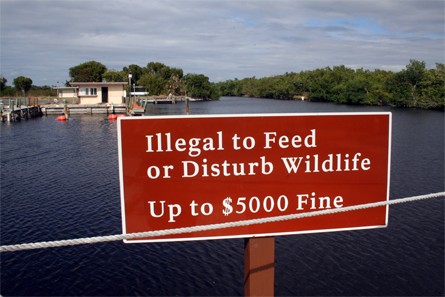 Everglades National Park