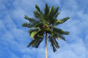 Miami, Floride