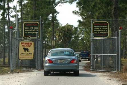 Entrée de l'enclos des Lions, Lion Country Safari