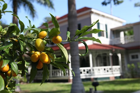 Maison de Thomas Edison à Fort Myers