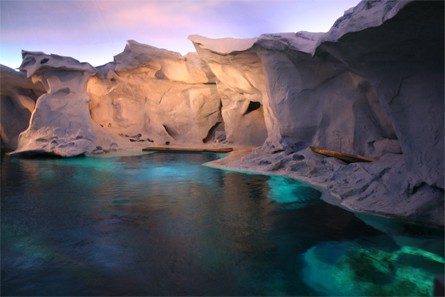 Wild Arctic, SeaWorld