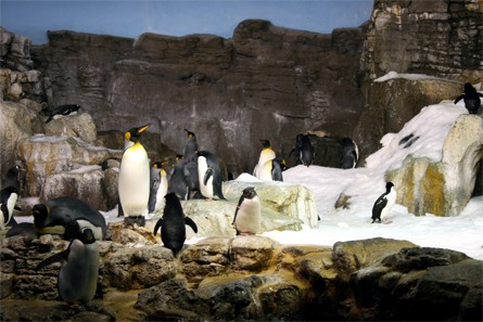 SeaWorld Orlando