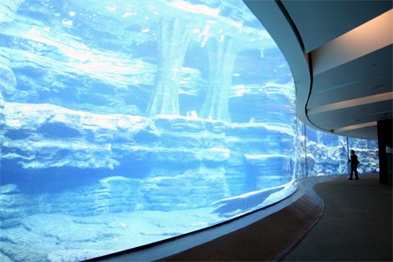 SeaWorld Orlando