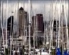 Des milliers de mts s'lvent du port d'Auckland, la City of Sail.