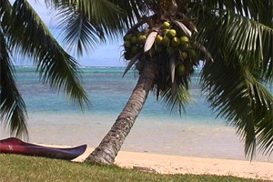 Vidéo Tahiti, Polynésie française