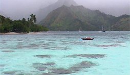 Vid&eacute;o Tahiti, Polyn&eacute;sie fran&ccedil;aise