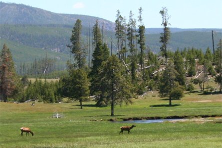 Yellowstone National Park