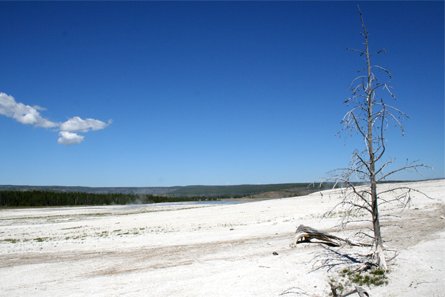 Parc national de Yellowstone