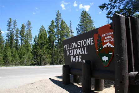 Yellowstone National Park