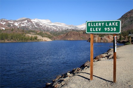 Ellery Lake, Yosemite
