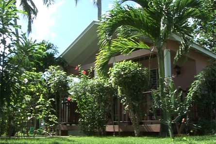 Bungalows  Las Galeras