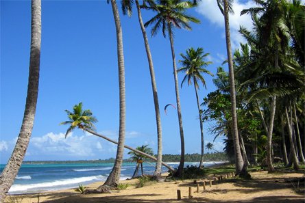 Las Terrenas en République dominicaine