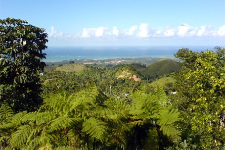 Las Terrenas, République dominicaine