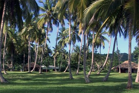 Playa de los Indios, Samana