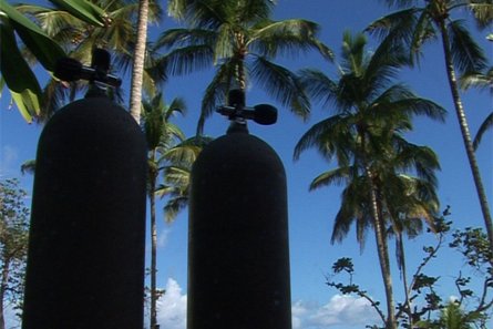 Plongée en République dominicaine