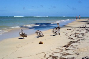 Las Terrenas, République dominicaine