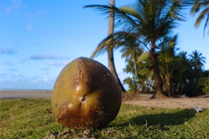 Las Terrenas, République dominicaine