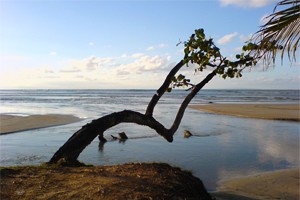 Las Terrenas, République dominicaine