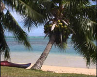 La plage du PK 28, à Moorea