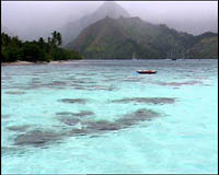 Lagon de Moorea