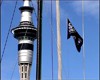 La Sky Tower à Auckland. Les plus téméraires peuvent s'y élancer en bungy jumping.
