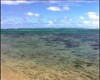 On devine la barrire de corail, qui confre aux lagons ces eaux turquoise.