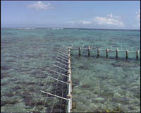 Le lagonaruim, à Papeete, Tahiti