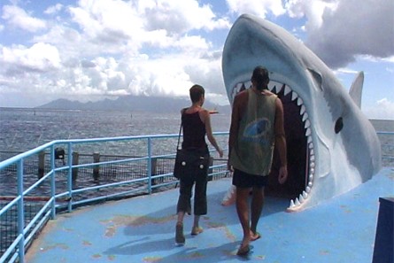 Tahiti Lagoonarium